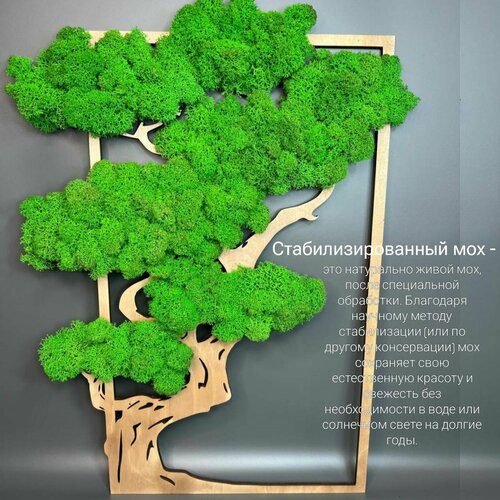 Декор для интерьера/A-lux/Панно со стабилизированным мхом/Ручная работа