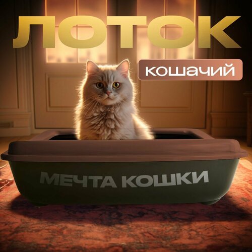 Кошачий лоток 