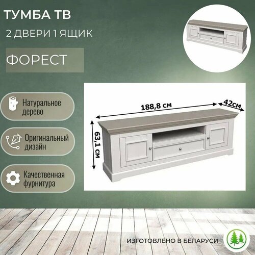 Тумба под ТВ 2 двери 1 ящик деревянная Форест белый воск антрацит 52050₽