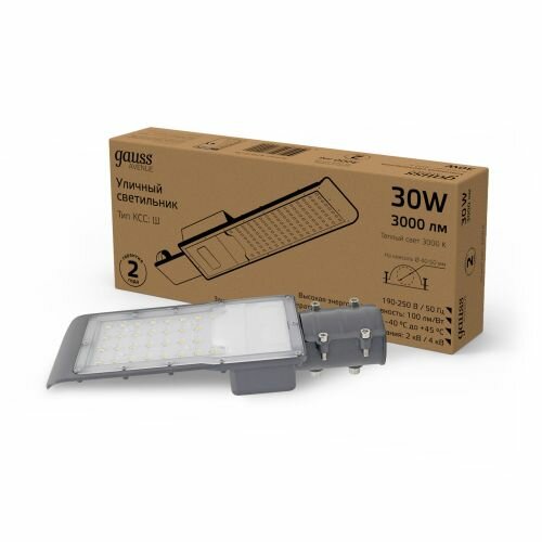 Консольный светильник Gauss Avenue 30W 3000lm 3000K 190-250V IP65 316*130*57мм черный КСС 