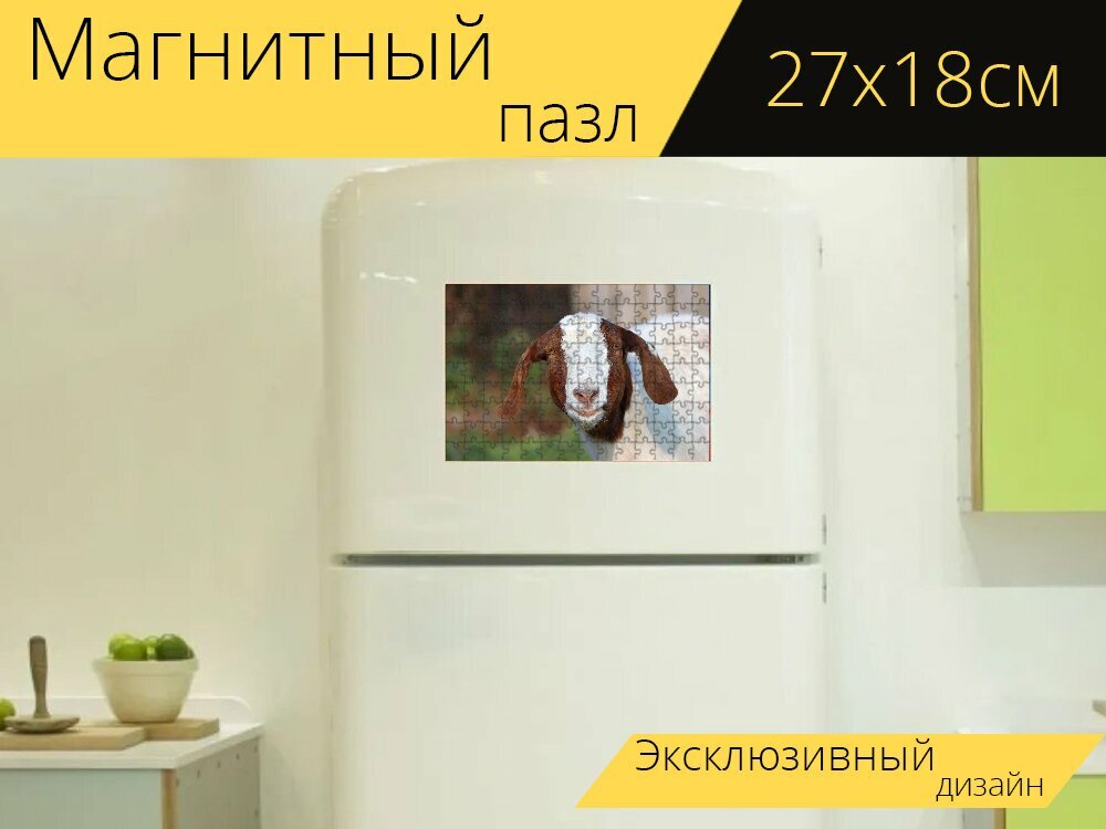 Магнитный пазл "Козел, бурская коза, жвачных животных" на холодильник 27 x 18 см.