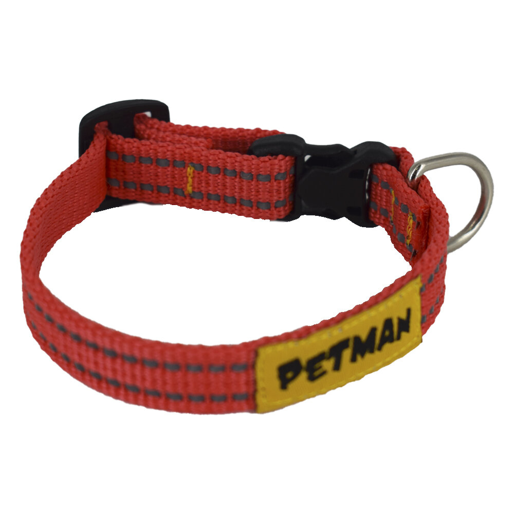 фото Ошейник регулируемый для щенка, кошки или маленькой собаки 15 мм 20-30 см