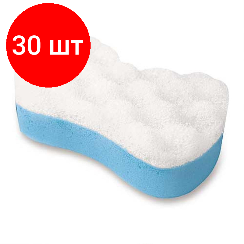 фото Русалочка Губка Юлия 72769