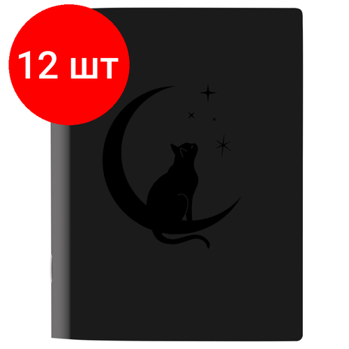 Комплект 12 штук, Тетрадь общая, Attache Selection Кошка 165x220 мм 48л. клетка скрепка