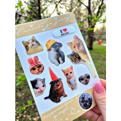 фото 3д стикеры котики 3d наклейки на телефон okstickers