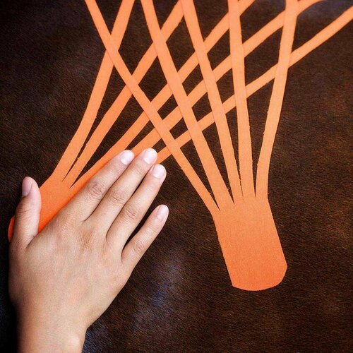 Кинезио тейп ветеринарный Tmax VET 6см x 5м, оранжевый