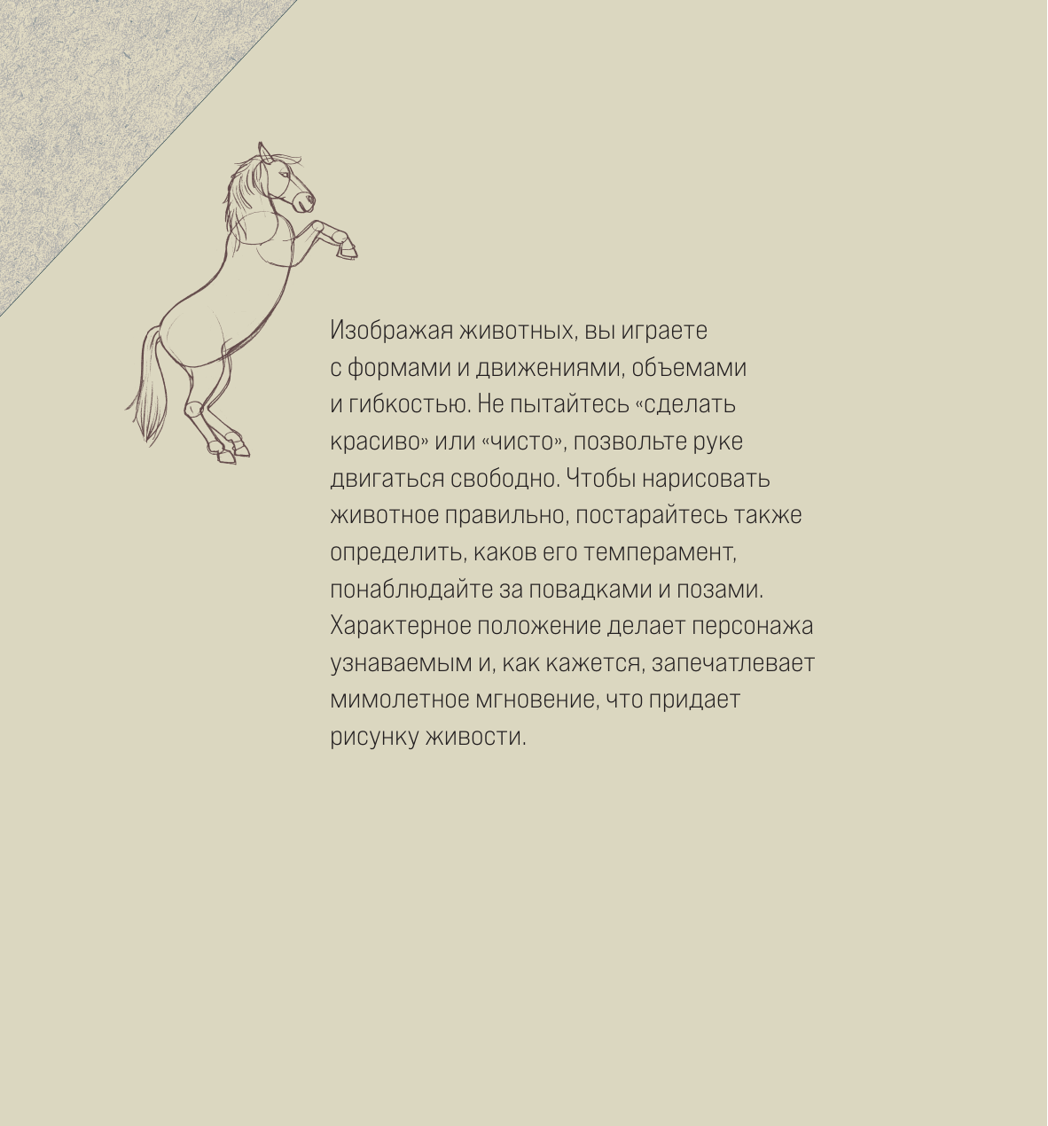 Рисовать это просто Учимся рисовать природу, животных, человека и перспективу - фото №15
