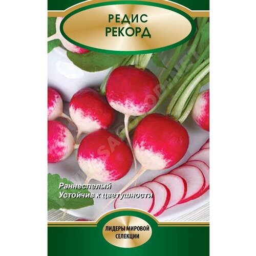 Семена Редис Рекорд 228₽