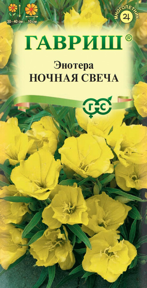 Семена Энотера Ночная свеча, 0,2г, Гавриш, Цветочная коллекция, 10 пакетиков