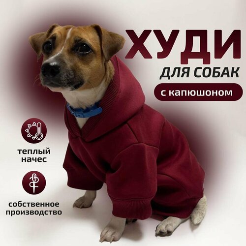 Худи для собак
