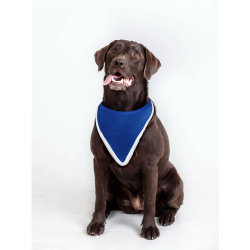 Бандана праздничная из велюра р. L синяя