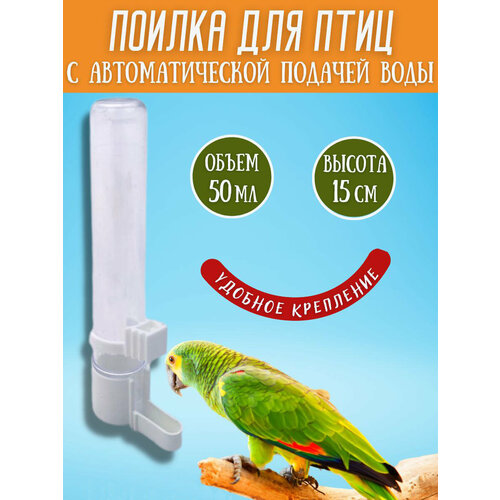 Поилка (автопоилка) для птиц и попугаев
