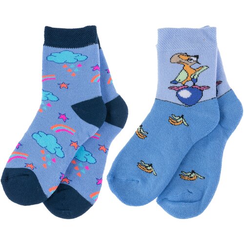 Носки Брестские 2 пары, размер 13-14, голубой носков юрий с ловчей птицей по свету