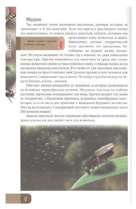 Удивительный мир насекомых (Губарева Надежда (иллюстратор)) - фото №5