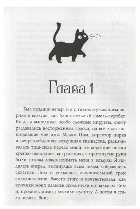 Поппи Пим и двойная загадка (Вуд Лора, Максимова Вероника Алексеевна (переводчик)) - фото №4