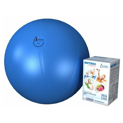 фото Фитбол стандарт - медицинский гимнастический мяч d55, цвет голубой альпина пласт