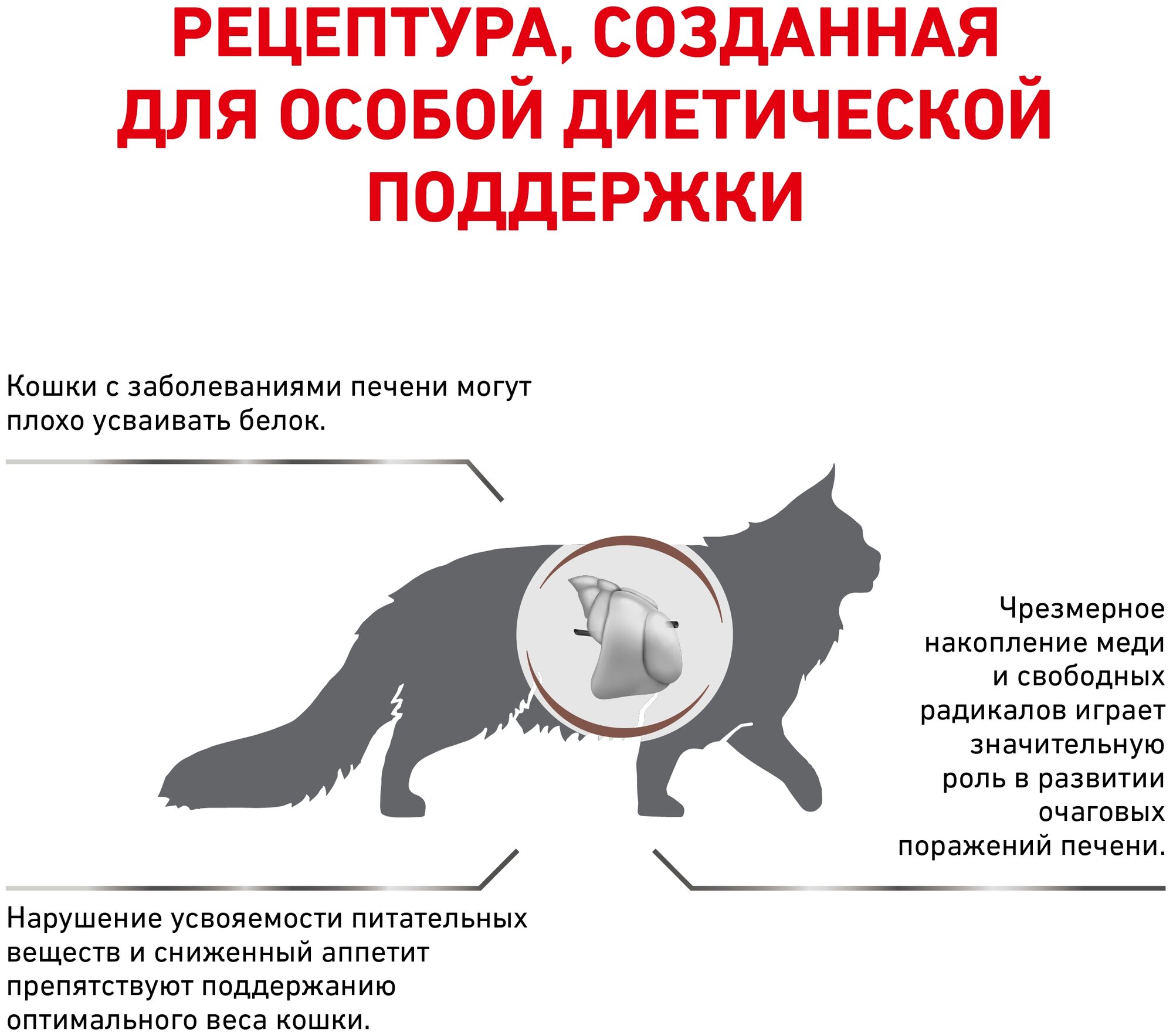 Сухой корм для кошек Royal Canin Hepatic HF26 при заболеваниях печени 2 кг - фотография № 2