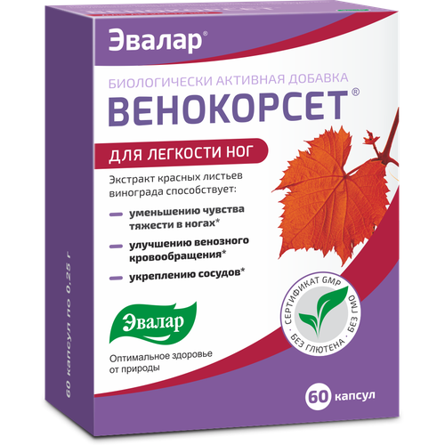 Венокорсет капс., 60 шт.