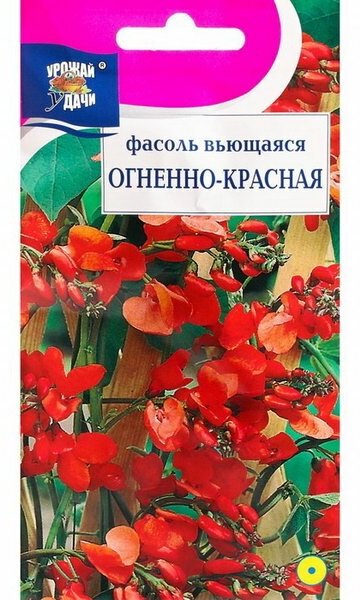 Семена цветов Фасоль "Вьющаяся", огненно-красная, 5 г