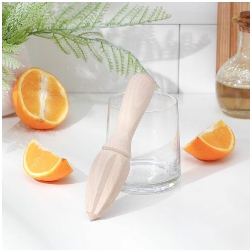 Соковыжималка бук 155x36x36 см 47300₽