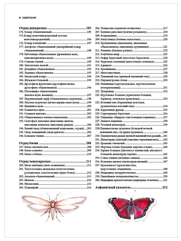 Насекомые. Иллюстрированная энциклопедия начинающего энтомолога. 240 популярных видов - фото №18