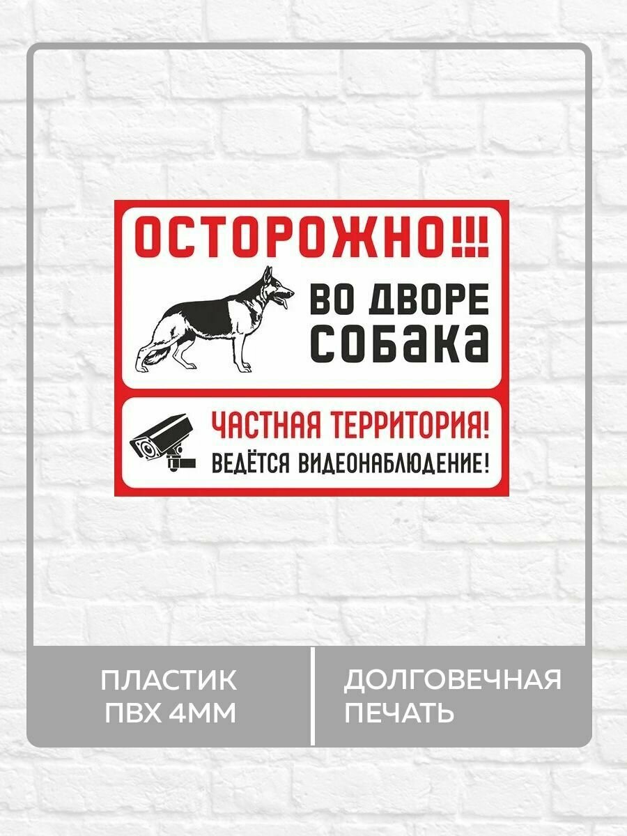 Табличка "Осторожно во дворе собака, ведется видеонаблюдение" А3 (40х30см)