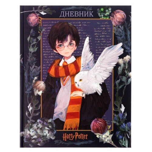 Гарри Поттер Дневник твердая обложка 1-11 класс 40 листов, Гарри Поттер, матовая ламинация