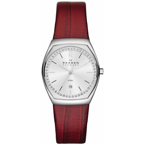 Наручные часы Skagen SKW2103