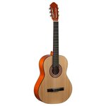Классическая гитара Colombo LC-3910/N - изображение