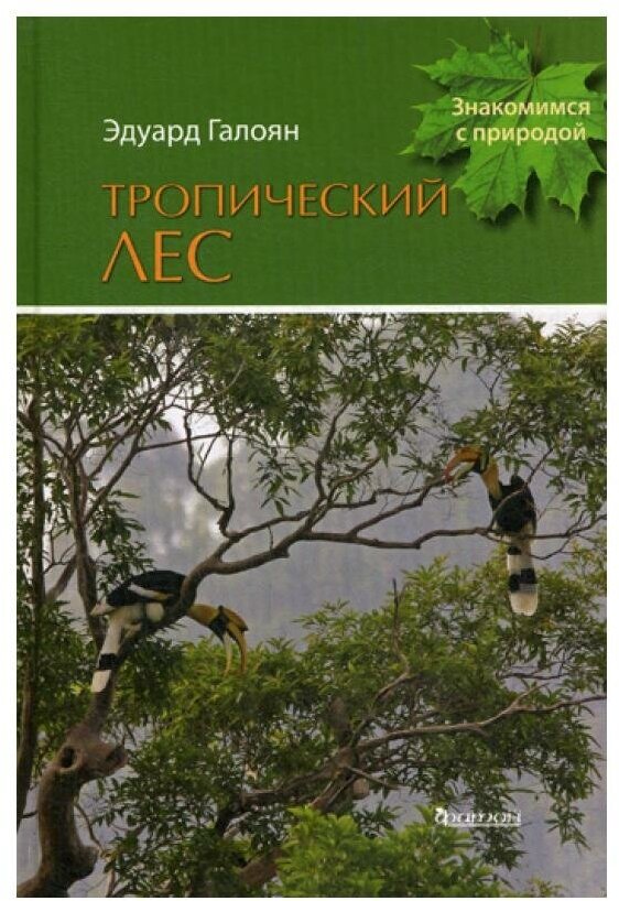 Тропический лес (Галоян Эдуард Арташесович) - фото №1