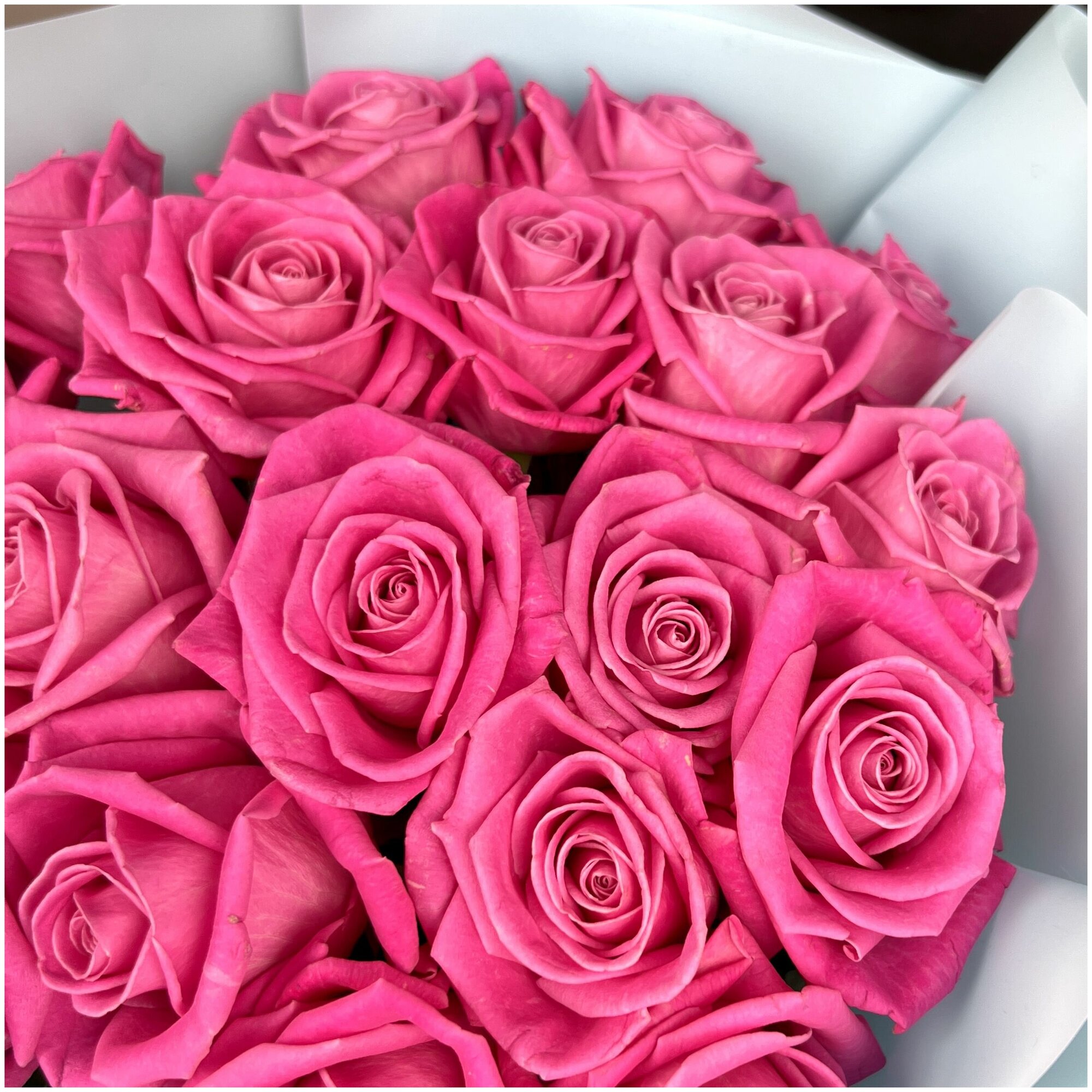 Букет моно из 19 розовых роз. Букет AR0367 ALMOND ROSES