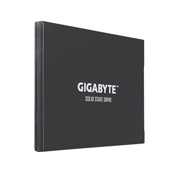 480GB Gigabyte (GP-GSTFS31480GNTD) - фото №15