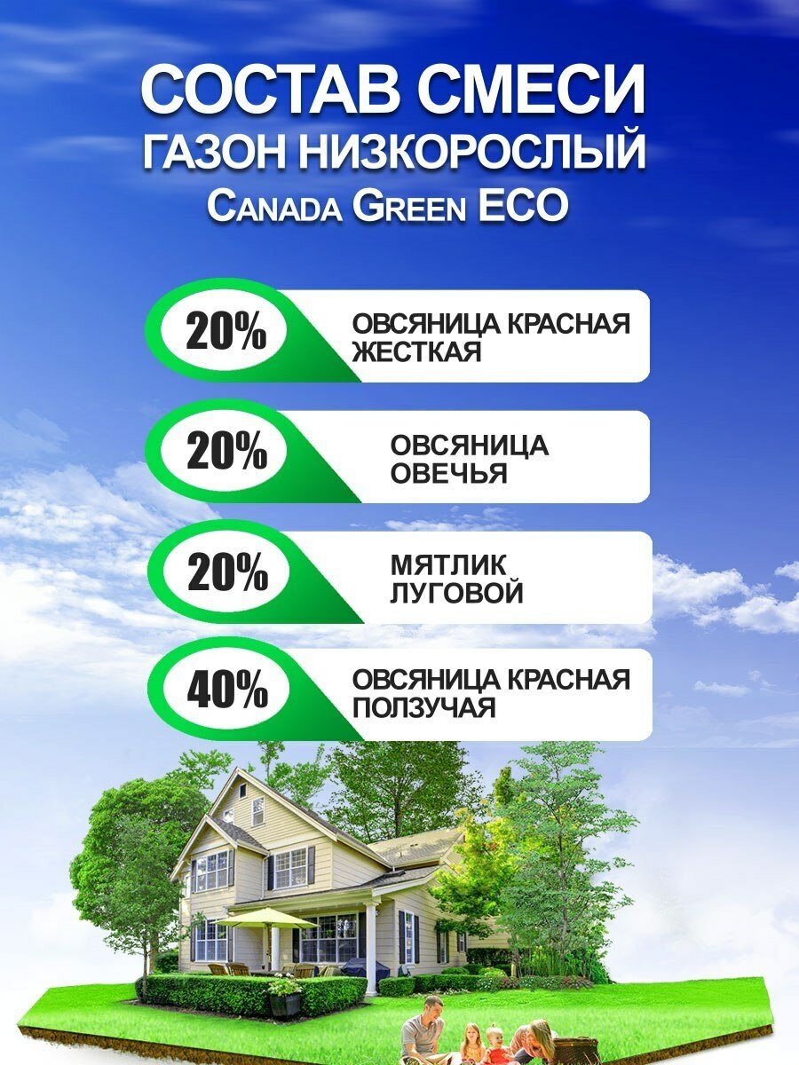 Газонная трава семена Канада Грин Низкорослый ECO 10 кг/ мятлик, овсяница семена