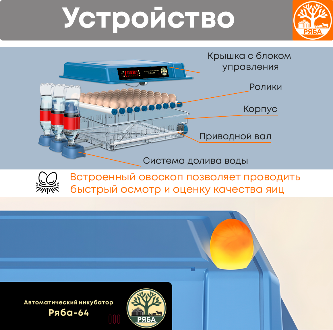 Инкубатор для яиц автоматический с терморегулятором Ряба-64 - фотография № 5