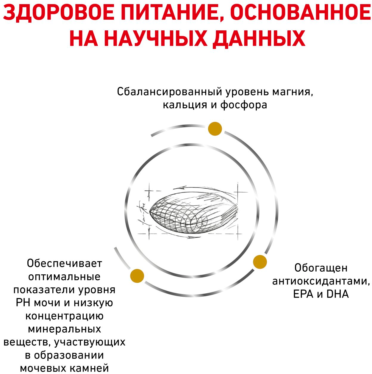Сухой корм для собак Royal Canin Urinary S/O LP18, для лечения МКБ — фото 1