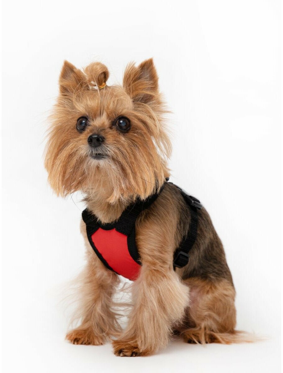 Шлейка прогулочная для собак OSSO Fashion р. M (красный) объём груди 47-65 - фотография № 1