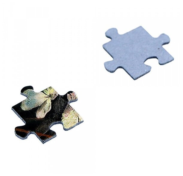 Puzzle-1500 "Хруцкий И.Ф. Цветы и плоды" (150236) Стелла+ - фото №6