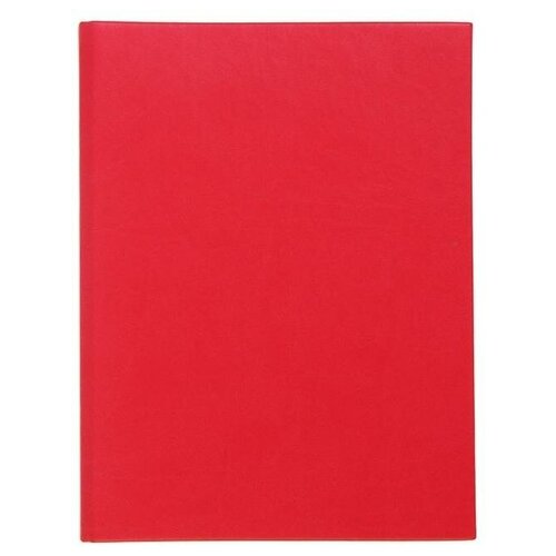 Тетрадь на кольцах А5, 120 листов «Премиум», искусственная кожа, красная