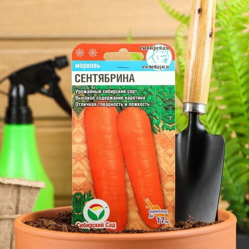 Семена Морковь Сентябрина, 2 г, 4 шт.