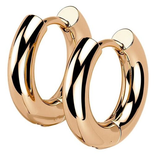 Серьги DG Jewelry