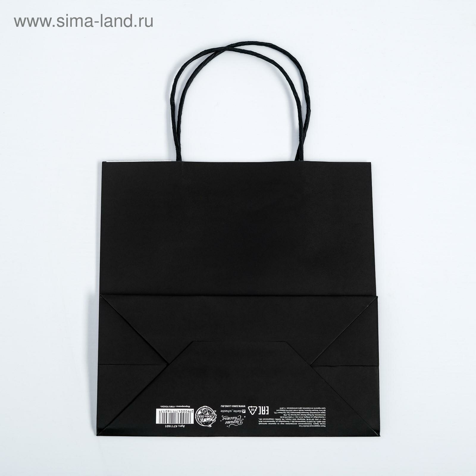 Пакет подарочный «С днищем», 22 × 22 × 11 см, черный, крафтовый — фото 1