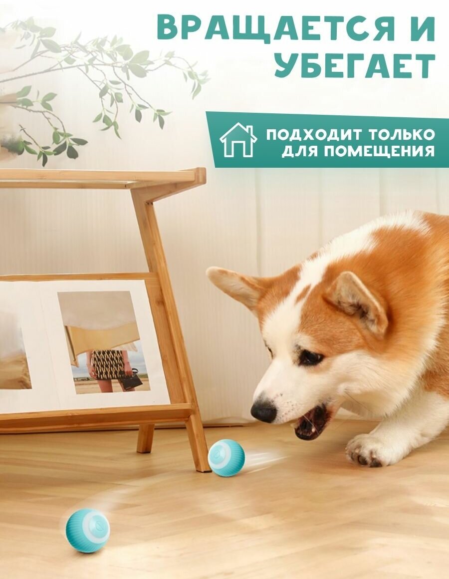 Игрушка мяч для кошек и собак голубой - фотография № 3