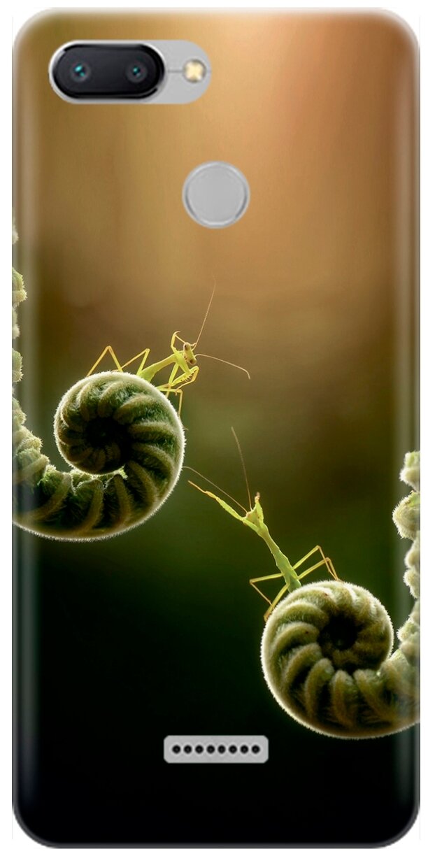 Ультратонкий силиконовый чехол-накладка для Xiaomi Redmi 6 с принтом "Пара богомолов"