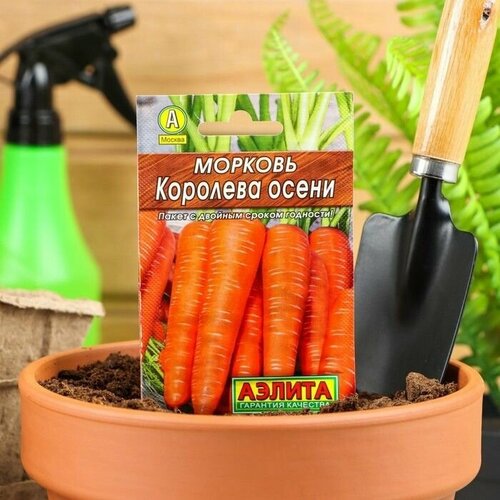 Семена Морковь Королева осени Лидер, 2 г , 16 упаковок семена морковь карамелька лидер 2 г 16 упаковок