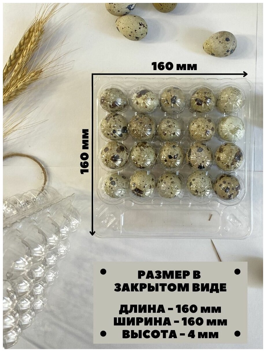 Упаковка лоток для перепелиных яиц, 20 ячеек, 100 шт/уп - фотография № 1
