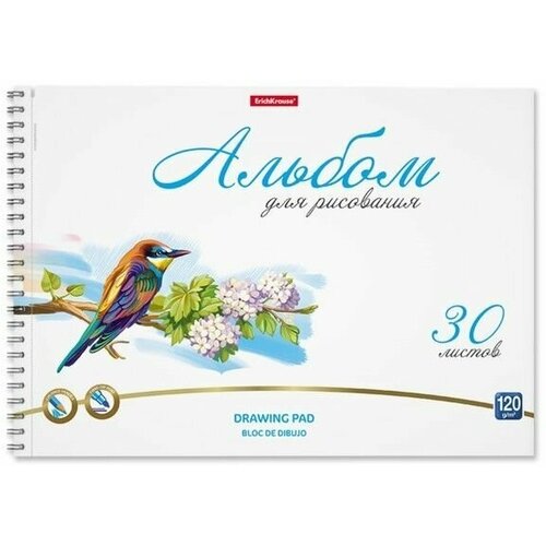 Альбом для рисования А4, 30л на спирали Birds, микроперфорация