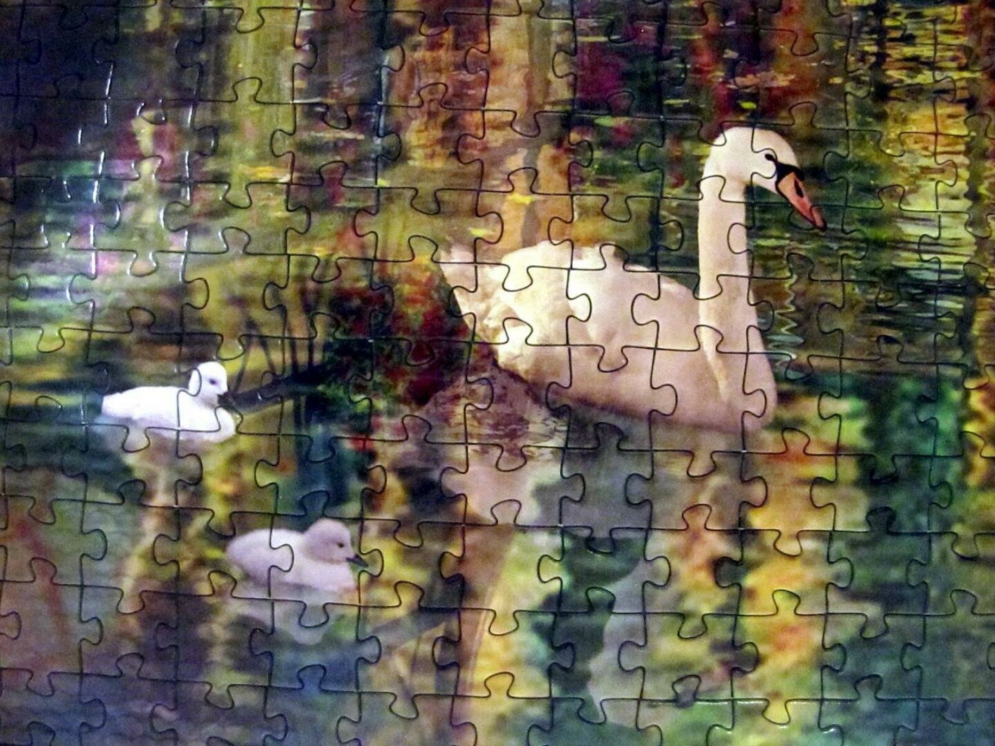 Мозаика "puzzle" 3000 "Канал Кольмар. Франция" - фотография № 4