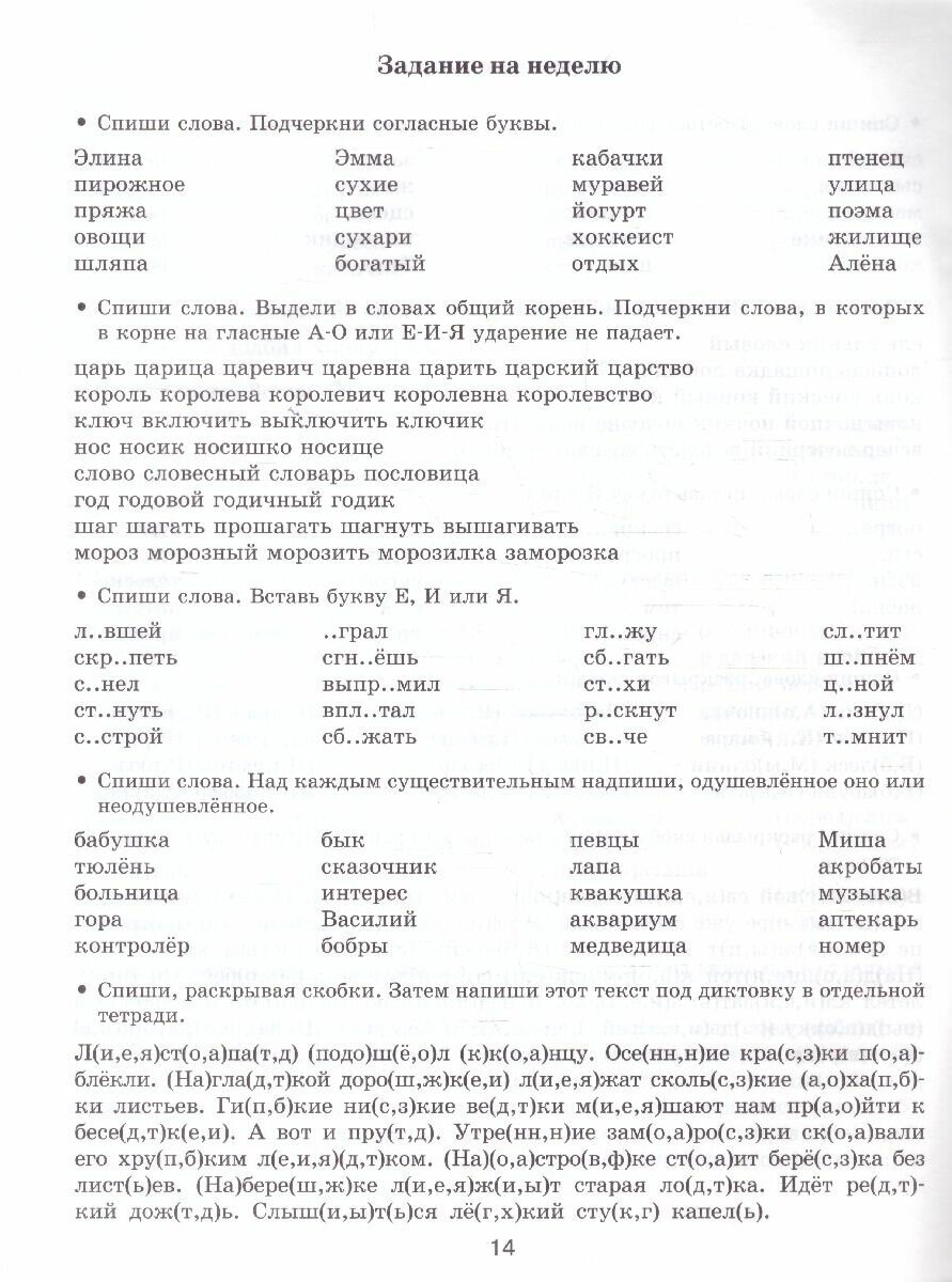 Задания по русскому языку для повторения и закрепления учебного материала. 2 класс - фото №3