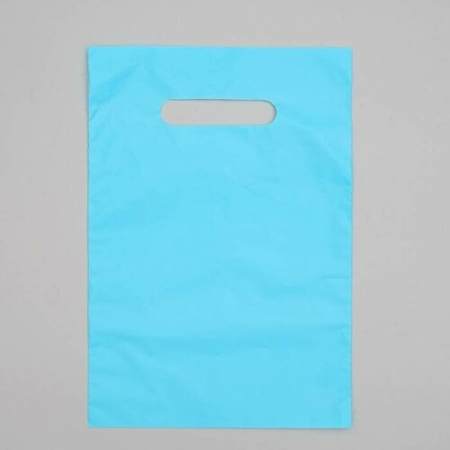 Пакет полиэтиленовый, с вырубной ручкой, голубой, 20 х 30, 33 мкм, 100 шт.