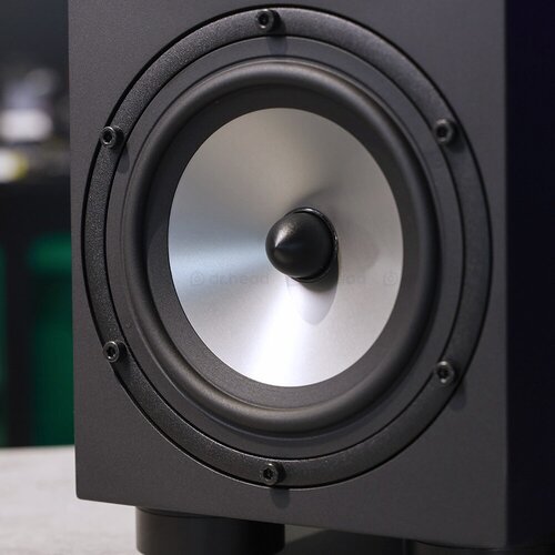 Amphion Two15 Black пассивный студийный монитор 19221000₽